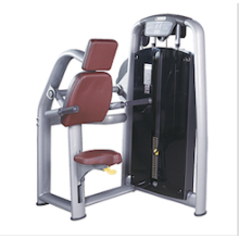 Commercial Gym Equipment Fitness Equipment Triceps Dip Machine